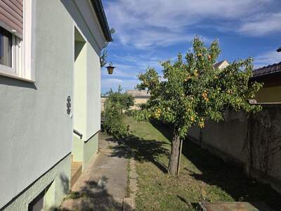 Haus kaufen (Bild 4)
