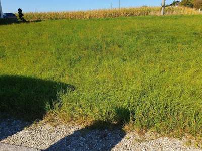 Grundstück provisionsfrei kaufen in 5121 Ostermiething