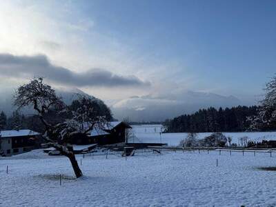 Grundstück provisionsfrei kaufen in 6232 Münster