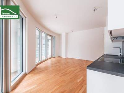 Terrassenwohnung mieten in 1100 Wien (Bild 2)