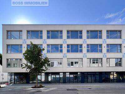 Gewerbeobjekt mieten in 4050 Traun (Bild 5)