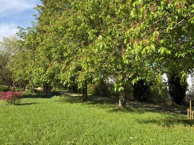 Grundstück kaufen in 2731 Urschendorf