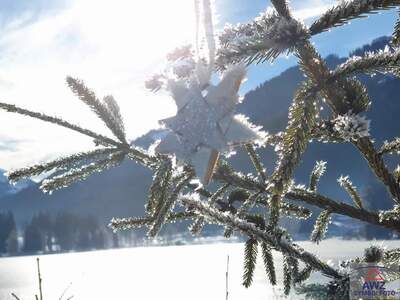 Haus kaufen in 4690 Rüstorf