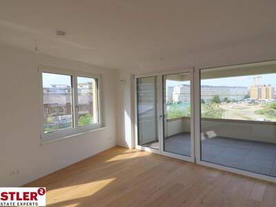 Wohnung kaufen in 1100 Wien