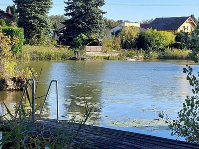 Haus kaufen in 7035 Steinbrunn