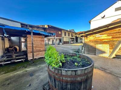 Haus kaufen in 2162 Falkenstein