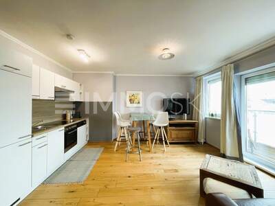 Terrassenwohnung kaufen in 1100 Wien (Bild 1)