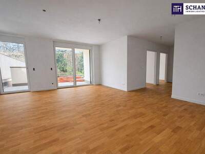 Terrassenwohnung kaufen in 1220 Wien (Bild 4)