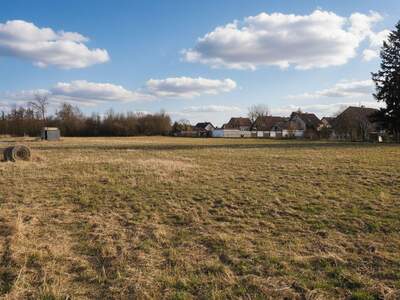 Grundstück kaufen in 4064 Oftering (Bild 1)