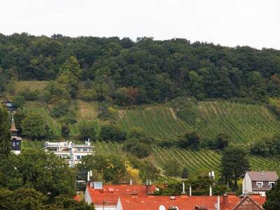 Haus mieten in 1190 Wien