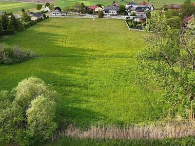 Grundstück kaufen in 2722 Weikersdorf