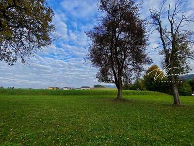 Grundstück kaufen in 4861 Schörfling