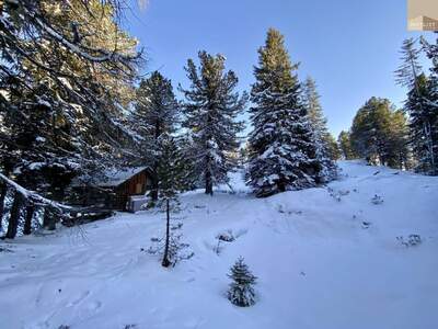 Grundstück kaufen in 9565 Turracherhöhe