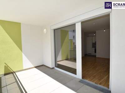 Terrassenwohnung mieten in 2320 Schwechat (Bild 2)