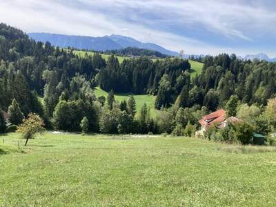 Grundstück kaufen in 4581 Rosenau