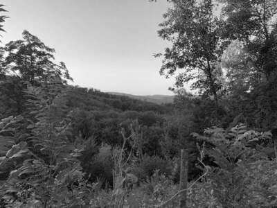 Grundstück kaufen in 1140 Wien