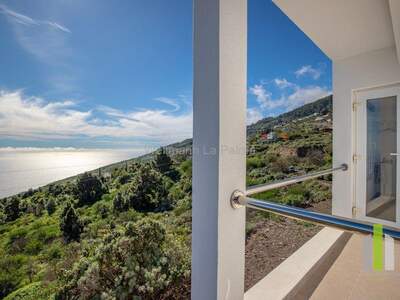 Einfamilienhaus kaufen in 38738 Monte De Luna