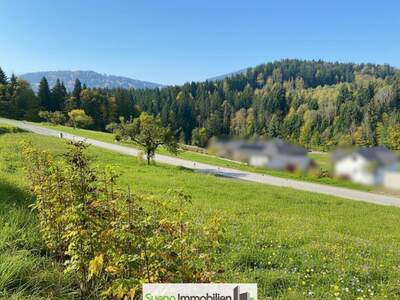 Grundstück kaufen in 4656 Kirchham (Bild 5)