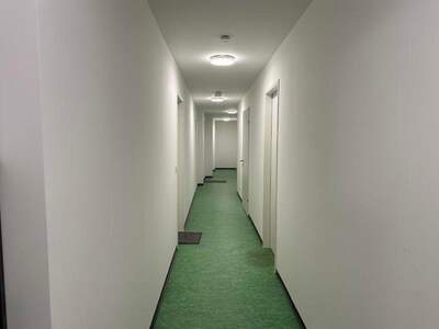 Gewerbeobjekt mieten in 1230 Wien (Bild 3)