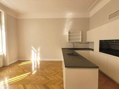 Altbauwohnung mieten in 1060 Wien (Bild 5)