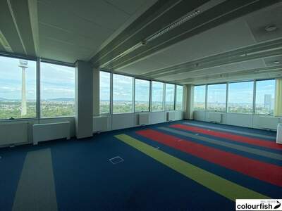 Gewerbeobjekt mieten in 1220 Wien (Bild 5)