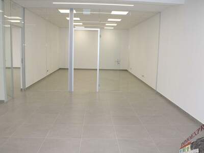 Gewerbeobjekt mieten in 1110 Wien (Bild 1)