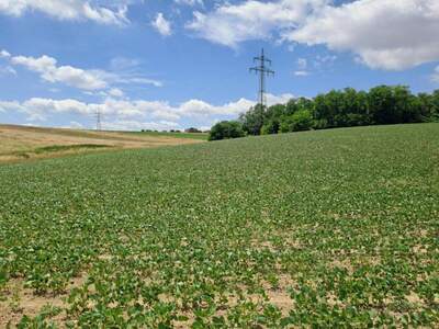 Gewerbeobjekt kaufen in 2440 Moosbrunn