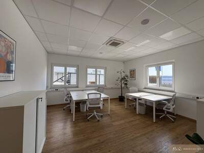 Gewerbeobjekt mieten in 8160 Weiz