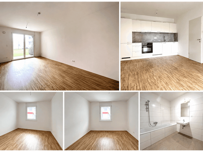 Wohnung provisionsfrei mieten in 1220 Wien