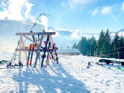 Gewerbeobjekt kaufen in 6284 Ramsau