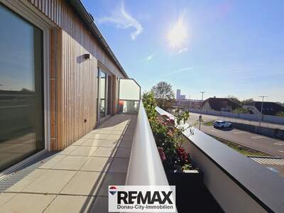 Terrassenwohnung kaufen in 3470 Kirchberg (Bild 3)