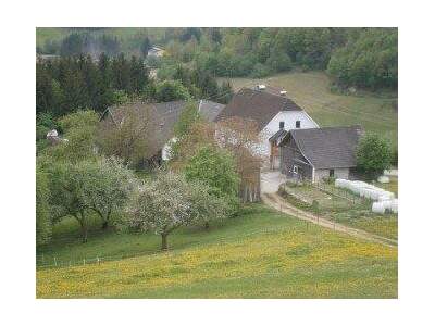 Bauernhaus kaufen in 4391 Waldhausen (Bild 1)