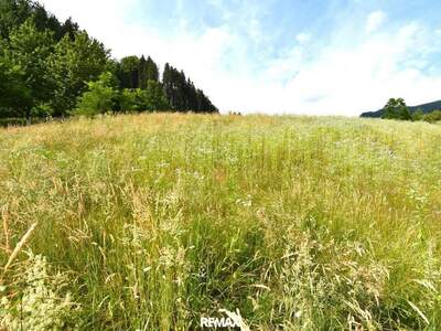 Grundstück kaufen in 9560 Feldkirchen