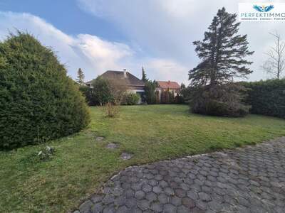 Haus mit Garten kaufen in 2523 Tattendorf (Bild 3)