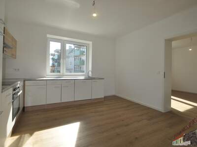 Einfamilienhaus mieten in 3100 St. Pölten (Bild 5)