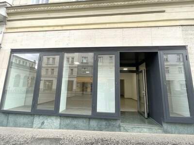 Gewerbeobjekt mieten in 1090 Wien (Bild 2)