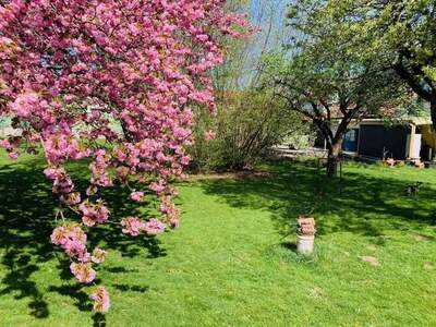 Haus kaufen in 2130 Mistelbach