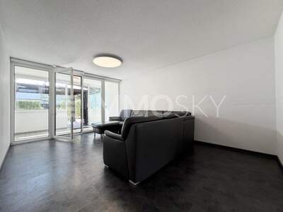 Terrassenwohnung kaufen in 6900 Bregenz (Bild 3)