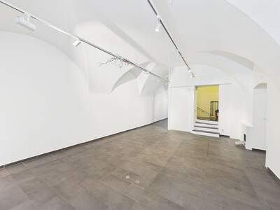 Gewerbeobjekt mieten in 1010 Wien (Bild 5)