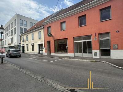 Anlageobjekt kaufen in 2700 Wiener Neustadt (Bild 1)