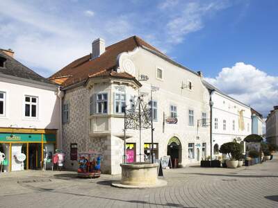 Gewerbeobjekt mieten in 2620 Neunkirchen