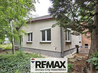Einfamilienhaus kaufen in 2440 Mitterndorf (Bild 3)