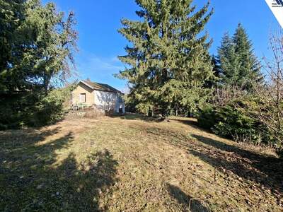 Gewerbeobjekt kaufen in 4060 Leonding