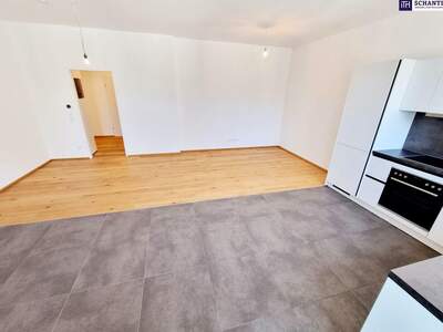 Wohnung kaufen in 1050 Wien (Bild 5)