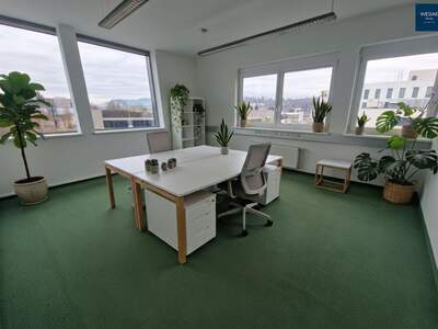 Gewerbeobjekt mieten in 8042 Graz (Bild 5)