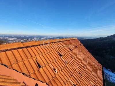 Gewerbeobjekt kaufen in 8510 Stainz