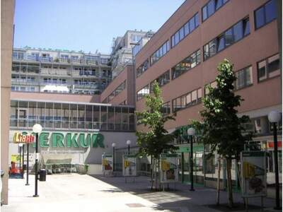 Anlageobjekt kaufen in 1190 Wien
