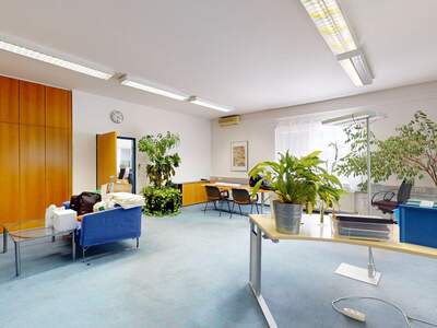 Gewerbeobjekt mieten in 1210 Wien (Bild 3)