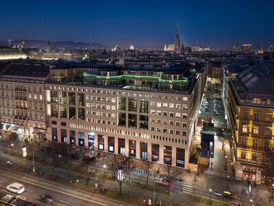 Gewerbeobjekt mieten in 1010 Wien (Bild 2)