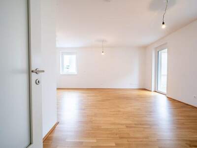 Terrassenwohnung kaufen in 3250 Wieselburg (Bild 4)